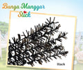 Bunga Manggar 20sticks