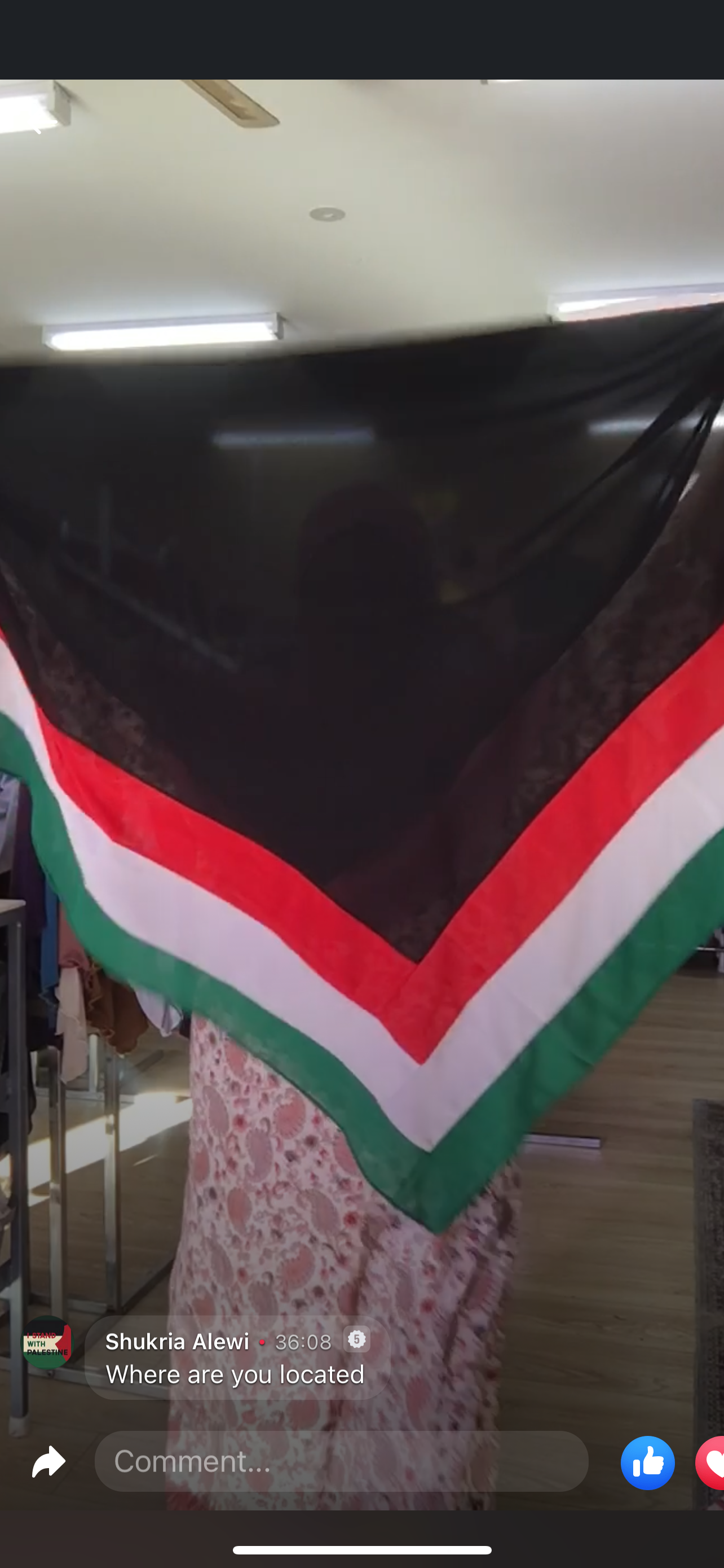 Palestine designs square shawls